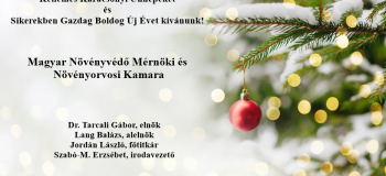 Karácsonyi Üdvözlet