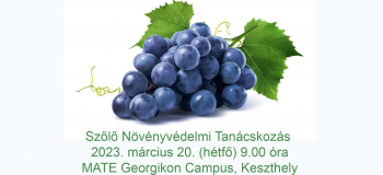A szőlő szaporítóanyag előállítás és a szőlőtermesztés növényvédelmi kérdései