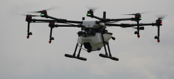 Magyarországon elsőként egy rovarölő szert juttathatnak ki drónnal